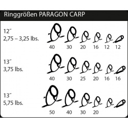 WĘDKA SPORTEX PARAGON CARP 366/3,00lbs